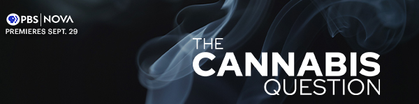 banner image for the film The Cannabis Question